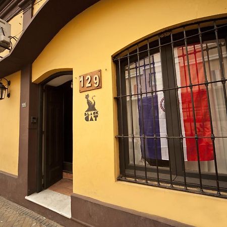 Black Cat Hostel Asuncion Buitenkant foto