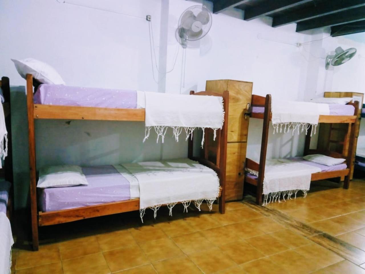 Black Cat Hostel Asuncion Buitenkant foto