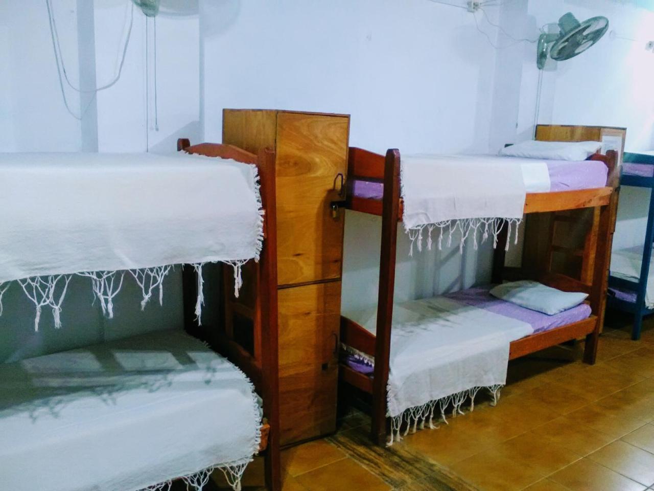 Black Cat Hostel Asuncion Buitenkant foto
