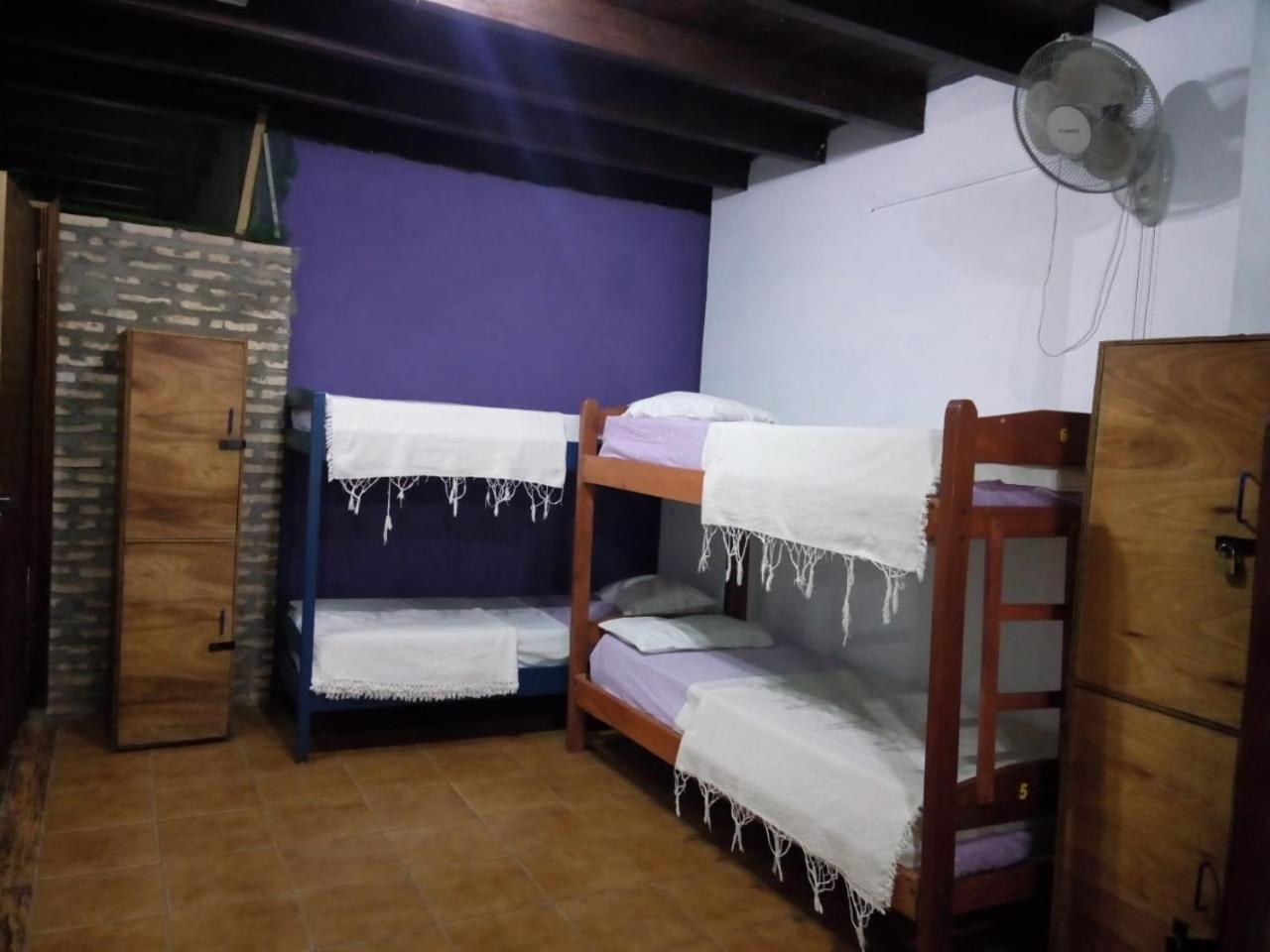 Black Cat Hostel Asuncion Buitenkant foto